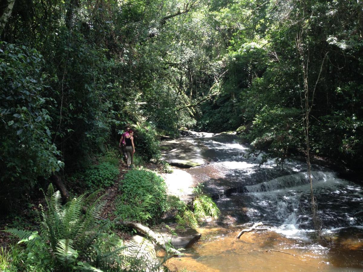 Blend Lodge And Kitchen - Pakachere Zomba ภายนอก รูปภาพ